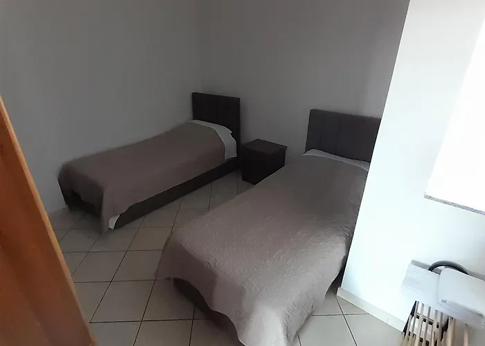 Aleksi&eli * Shkodër