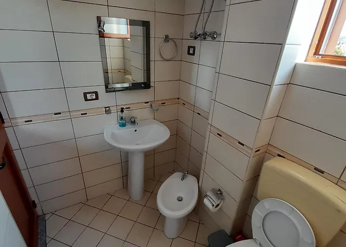 Aleksi&eli * Shkodra